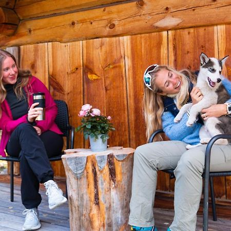 Jotunheimen Husky Lodge Randsverk Ngoại thất bức ảnh