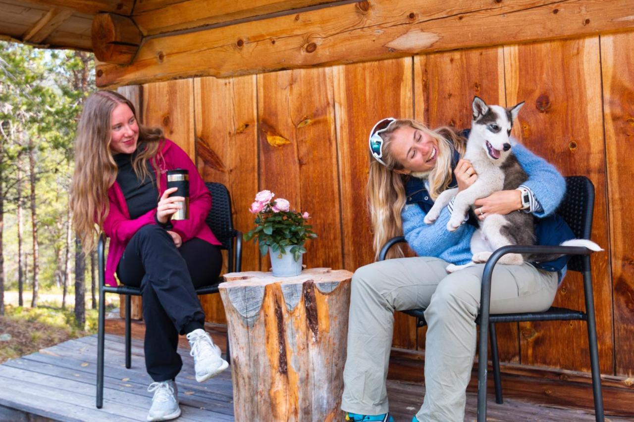 Jotunheimen Husky Lodge Randsverk Ngoại thất bức ảnh