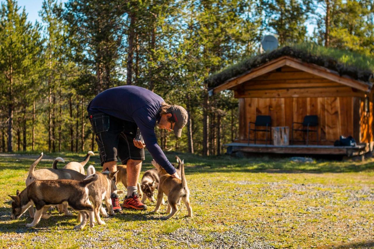 Jotunheimen Husky Lodge Randsverk Ngoại thất bức ảnh