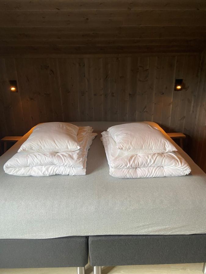 Jotunheimen Husky Lodge Randsverk Ngoại thất bức ảnh