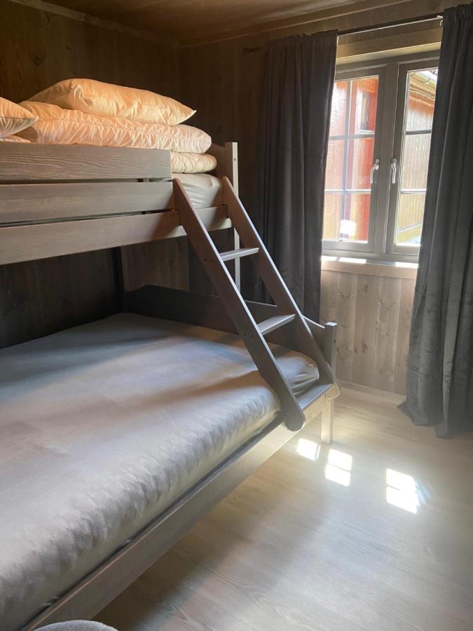Jotunheimen Husky Lodge Randsverk Ngoại thất bức ảnh