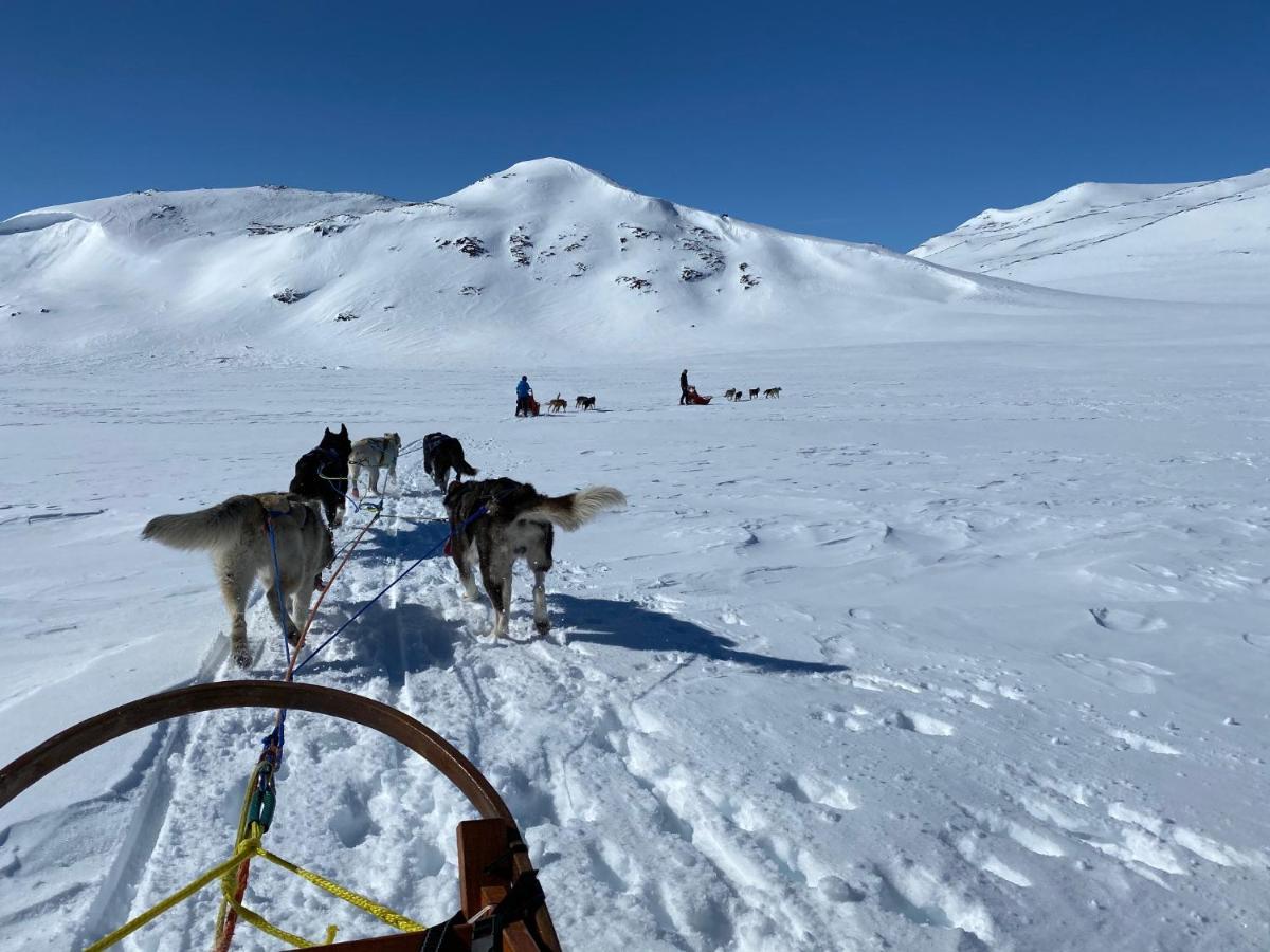 Jotunheimen Husky Lodge Randsverk Ngoại thất bức ảnh
