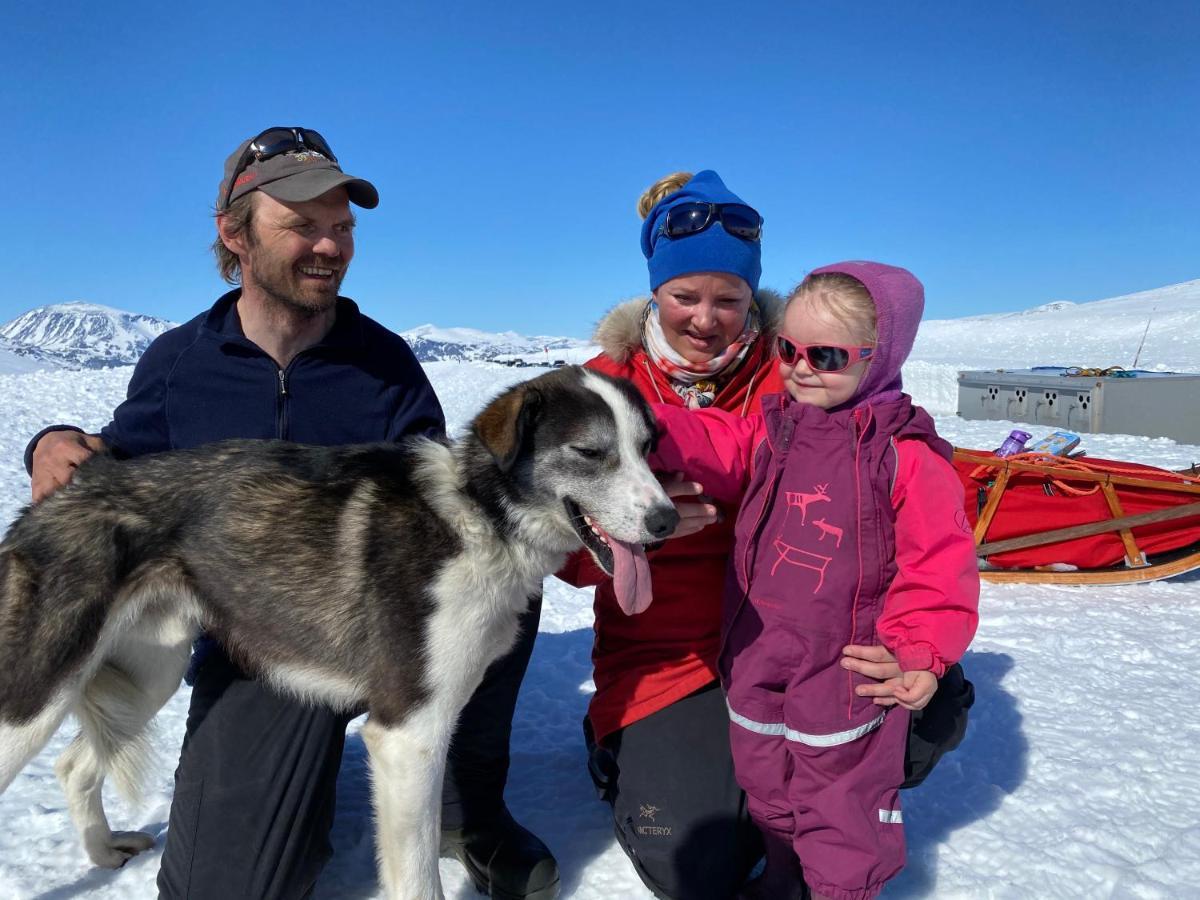 Jotunheimen Husky Lodge Randsverk Ngoại thất bức ảnh