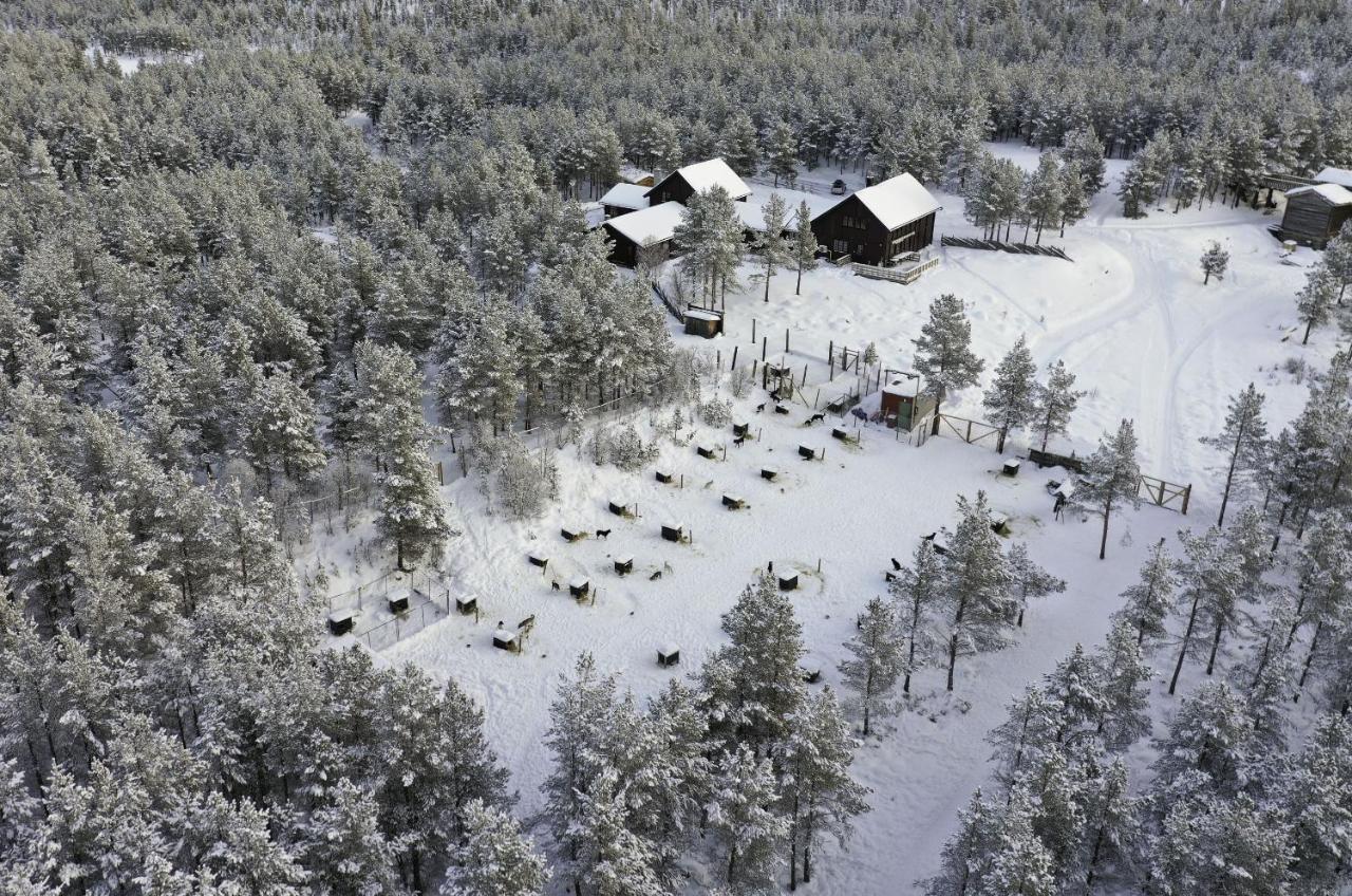 Jotunheimen Husky Lodge Randsverk Ngoại thất bức ảnh